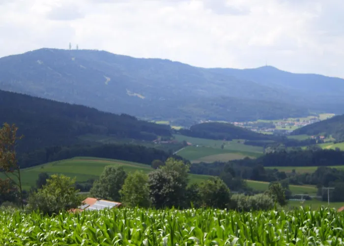 Gasthof - Pension Schamberger