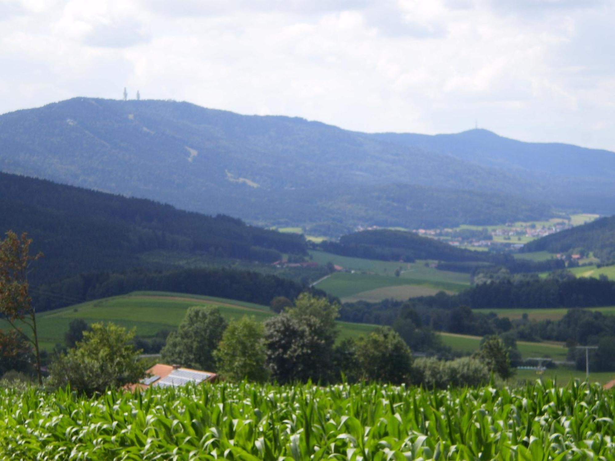 Hotel - Schamberger